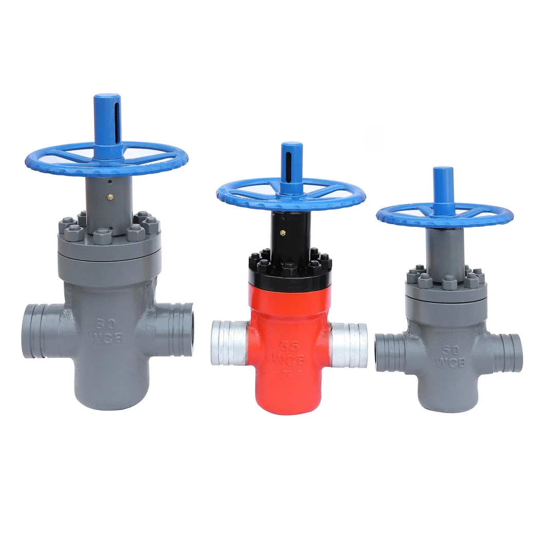 Stainless Steel High Pressure Gate Valve with FM UL Technical Norms