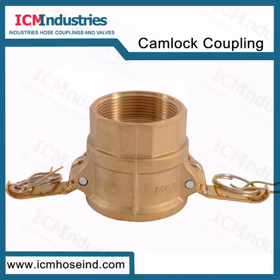 Brass Type D Camlock Adapter/Quick Coupling