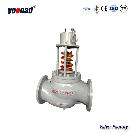 Factory ANSI150 API JIS DIN Cl150 10K Pn16 Cast CF8 CF8m Wcb Forged A105 Forging Bolted Cover Non-Return Lift Swing Flanged Flange Stainless Steel Check Valve
