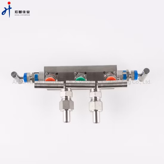 2 Way Valve Manifolds SS316 6000psi Instrument Forged Needle Valve